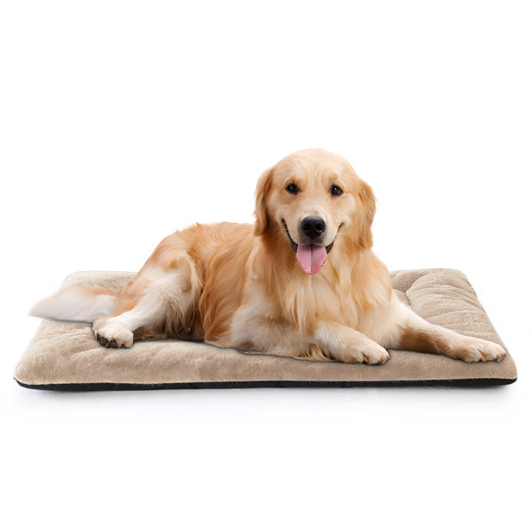 Fringe orthopedic large pet bed best sale